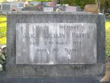 image of grave number 177501